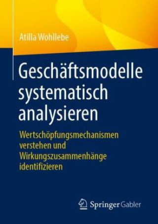 Könyv Geschaftsmodelle Systematisch Analysieren 