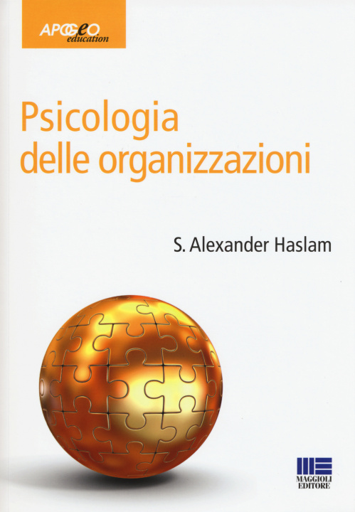 Kniha Psicologia delle organizzazioni Alexander S. Haslam