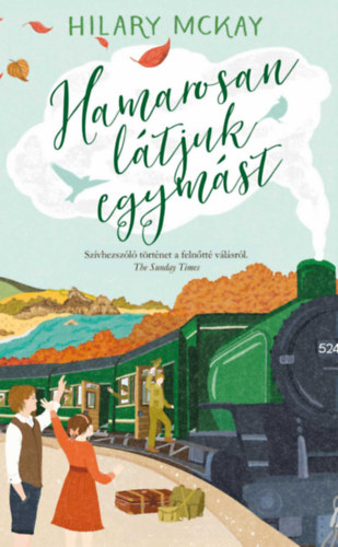 Książka Hamarosan látjuk egymást Hilary McKay