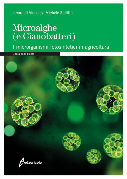 Könyv Microalghe (e cianobatteri). I microrganismi fotosintetici in agricoltura 