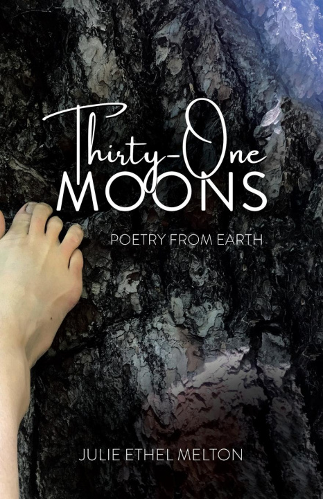 Knjiga Thirty-One Moons Julie Ethel Melton