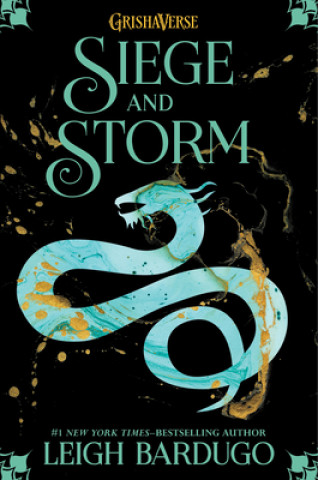 Kniha Siege and Storm 