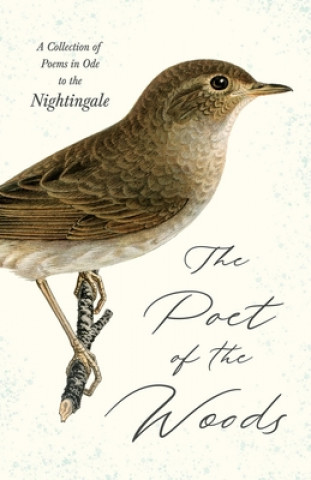 Kniha Poet of the Woods - A Collection of Poems in Ode to the Nightingale 