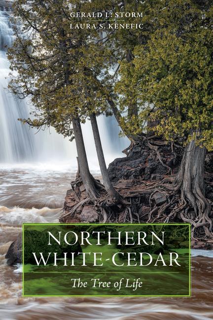 Книга Northern White-Cedar Laura S. Kenefic