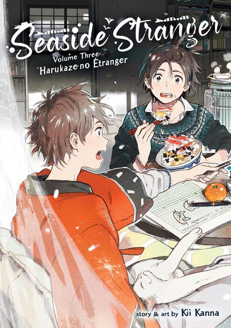 Kniha Seaside Stranger Vol. 3: Harukaze no Etranger Kii Kanna