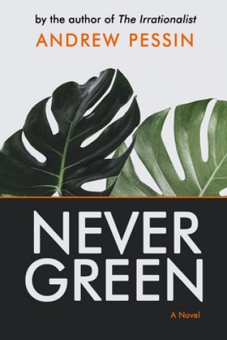 Knjiga Nevergreen Andrew Pessin