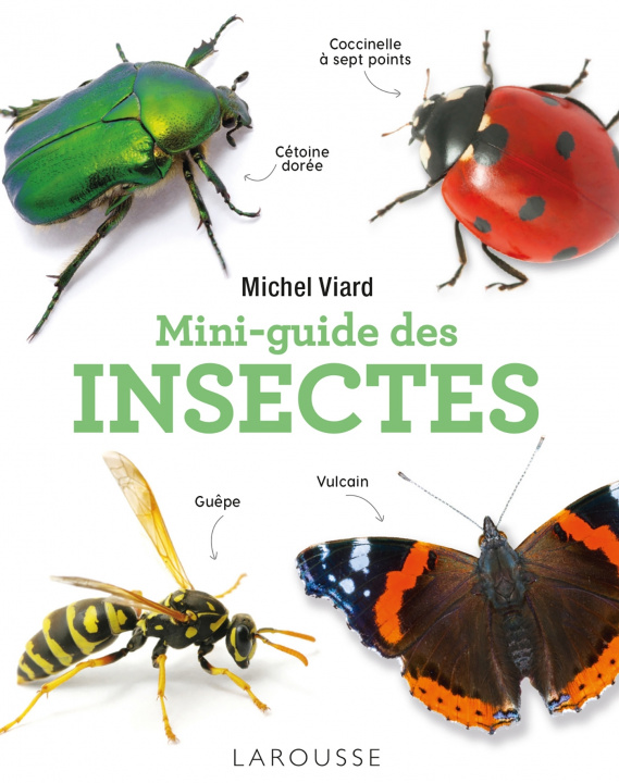 Kniha Mini-guide des insectes Michel Viard