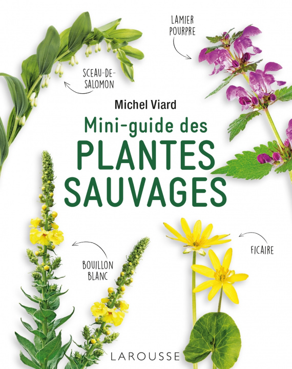 Kniha Mini-guide des plantes sauvages Michel Viard