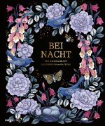 Könyv Bei Nacht - Ein Ausmalbuch 