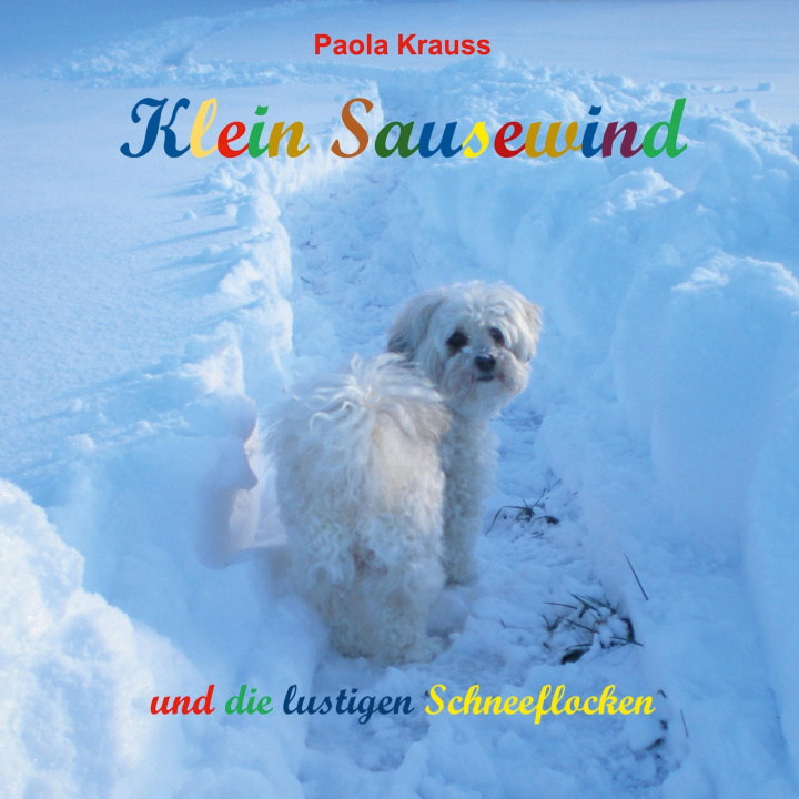 Knjiga Klein Sausewind Paola Krauss