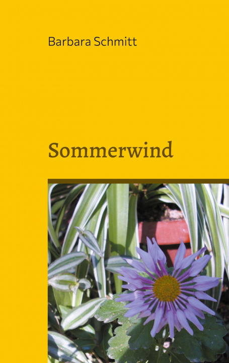 Kniha Sommerwind Barbara Schmitt