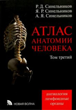 Könyv Атлас анатомии человека. В 4-х томах. Том 3. Учение о сосудах и лимфоидных органах. Ангиология. Лимфоидные органы Андрей Синельников