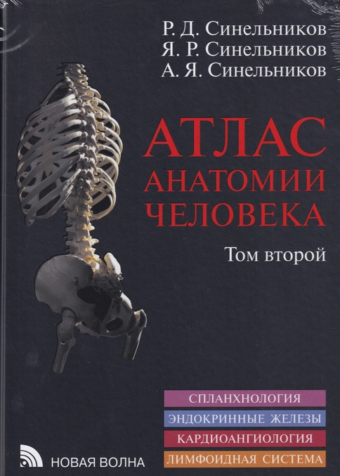 Carte Атлас анатомии человека. В 4-х томах. Том 2. Спланхнология. Эндокринные железы. Кардиоангиология. Лимфоидная система. Рафаил Синельников