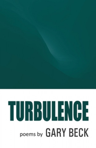 Book Turbulence Gary Beck
