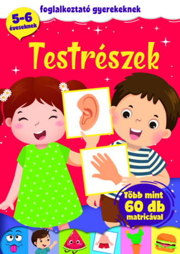 Libro Testrészek 