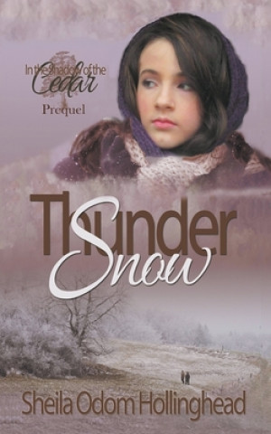 Kniha Thunder Snow Sheila Hollinghead