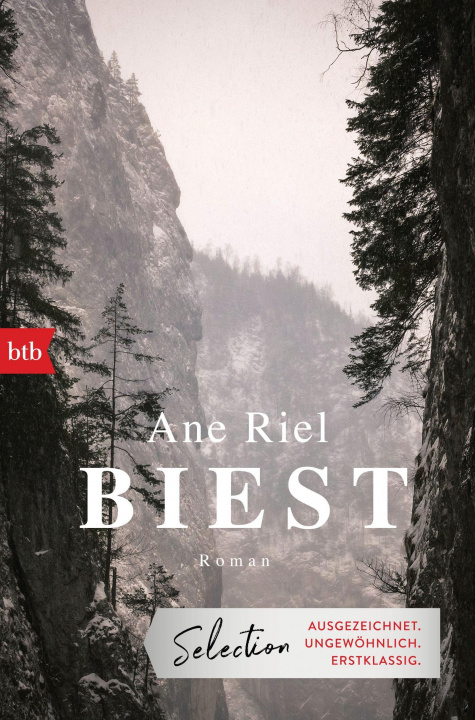 Buch Biest Julia Gschwilm