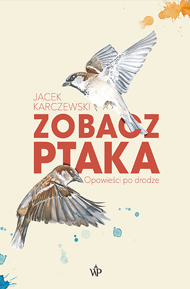 Kniha Zobacz ptaka. Opowieści po drodze Jacek Karczewski