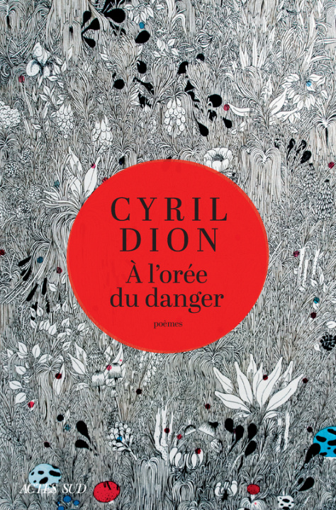 Kniha À l'orée du danger Dion