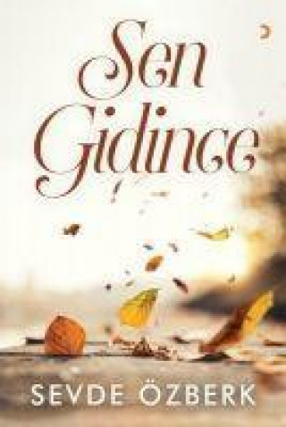 Βιβλίο Sen Gidince 