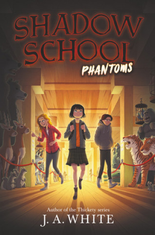 Kniha Shadow School #3: Phantoms J. a. White