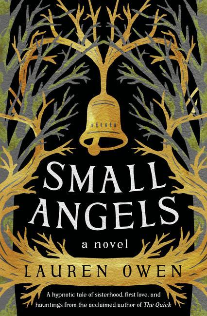 Kniha Small Angels Lauren Owen