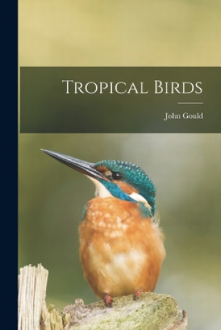 Carte Tropical Birds John 1804-1881 Gould