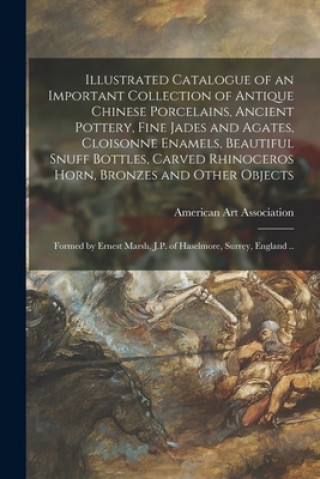 Kniha Illustrated Catalogue of an Important Collection of Antique Chinese Porcelains, Ancient Pottery, Fine Jades and Agates, Cloisonne Enamels, Beautiful S American Art Association