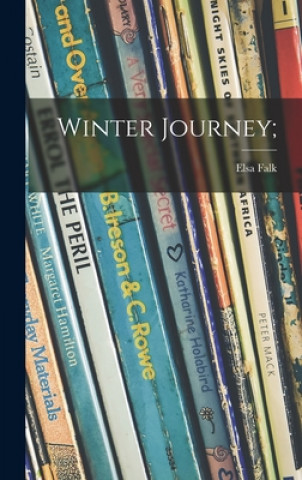 Kniha Winter Journey; Elsa Falk