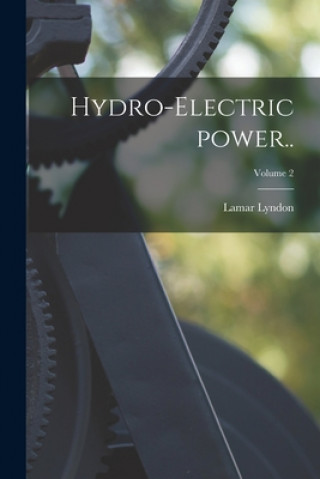 Kniha Hydro-electric Power..; Volume 2 Lamar 1871-1940 Lyndon