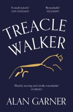 Kniha Treacle Walker Alan Garner