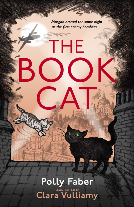 Book Book Cat Clara (Illustrator) Vulliamy