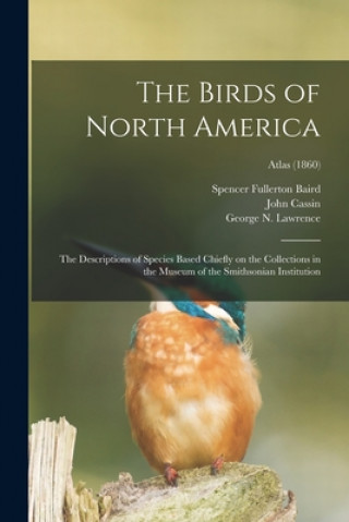 Carte Birds of North America Spencer Fullerton 1823-1887 Baird