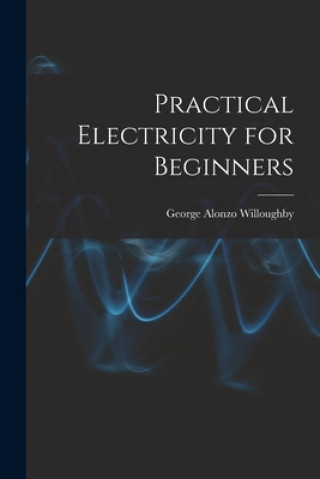 Carte Practical Electricity for Beginners George Alonzo 1894- Willoughby