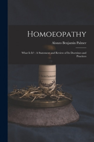 Könyv Homoeopathy Alonzo Benjamin 1815-1887 Palmer