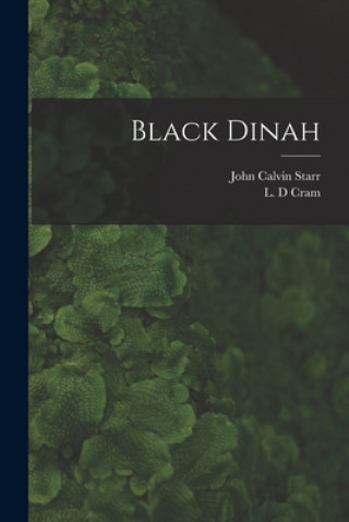 Knjiga Black Dinah John Calvin 1892- Starr
