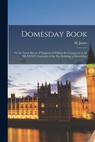 Kniha Domesday Book H. 1803-1877 James