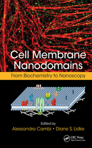 Kniha Cell Membrane Nanodomains Alessandra Cambi