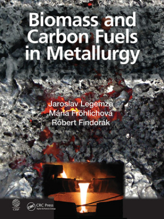 Kniha Biomass and Carbon Fuels in Metallurgy Jaroslav Legemza