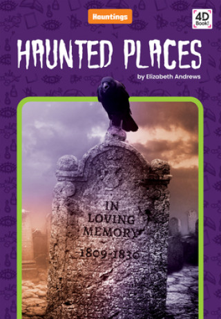 Buch Haunted Places Elizabeth Andrews