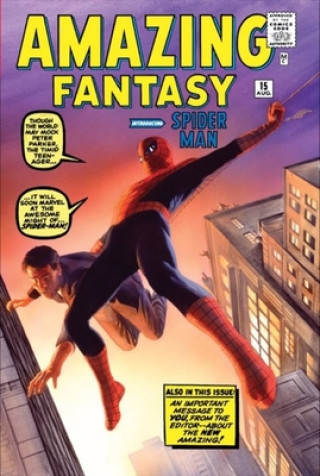 Book Amazing Spider-man Omnibus Vol. 1 Stan Lee