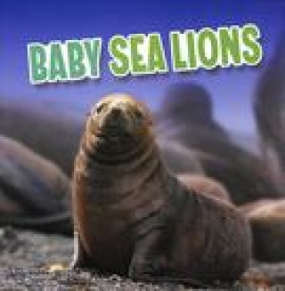 Boek Baby Sea Lions Martha E. H. Rustad