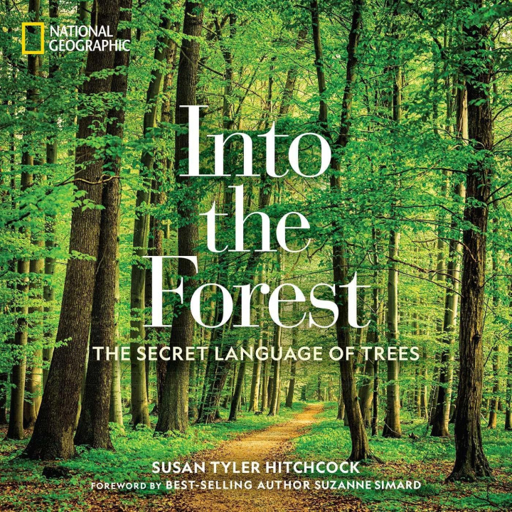 Книга Into the Forest Susan Hitchcock