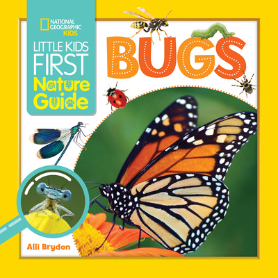 Kniha Little Kids First Nature Guide Bugs Alli Brydon