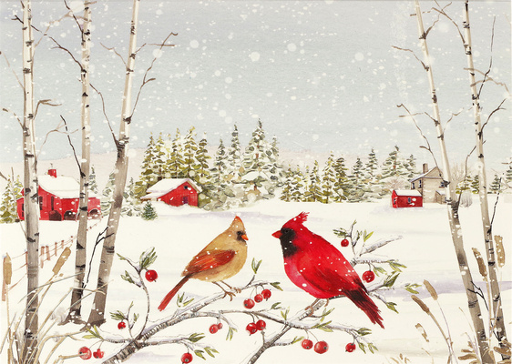 Hra/Hračka Cardinals in Winter Deluxe Boxed Holiday Cards 