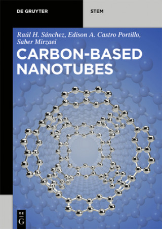 Kniha Carbon-Based Nanotubes Edison Arley Castro Portillo