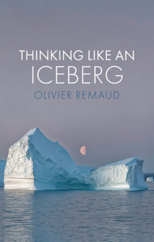 Kniha Thinking Like an Iceberg Olivier Remaud