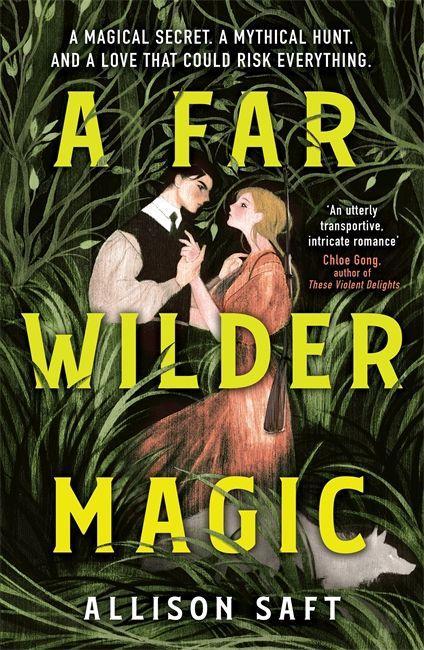 Kniha Far Wilder Magic 