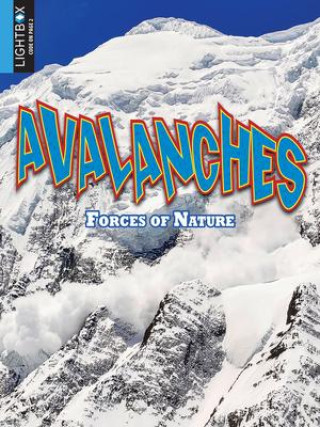 Knjiga Avalanches Megan Kopp