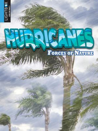 Buch Hurricanes Jack Zayarny